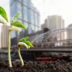 Adapting to Climate Change: The 2025 Update