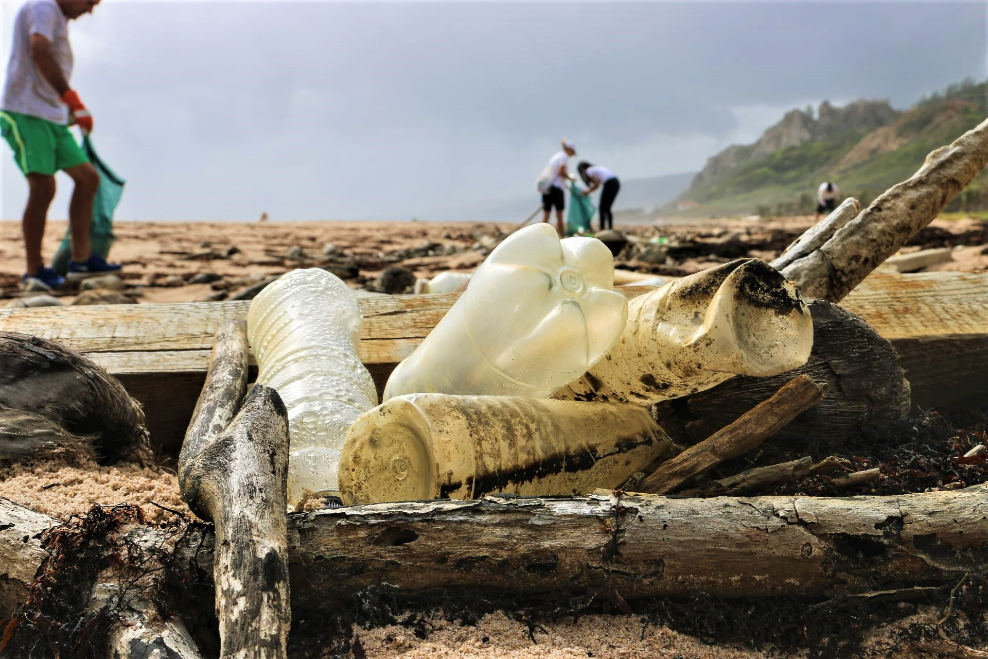 Beach Cleanup