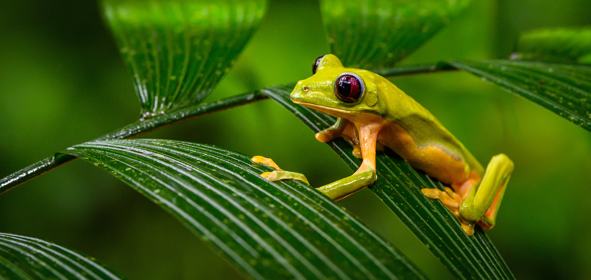 AdobeStock