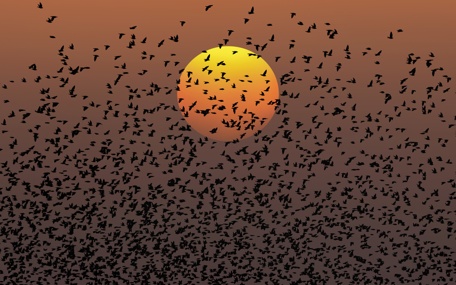 Beautiful large flock of starlings at amazing sunset - The natur