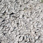 Reversing Moisture Loss: Let the Ground Keep Falling Rainwater