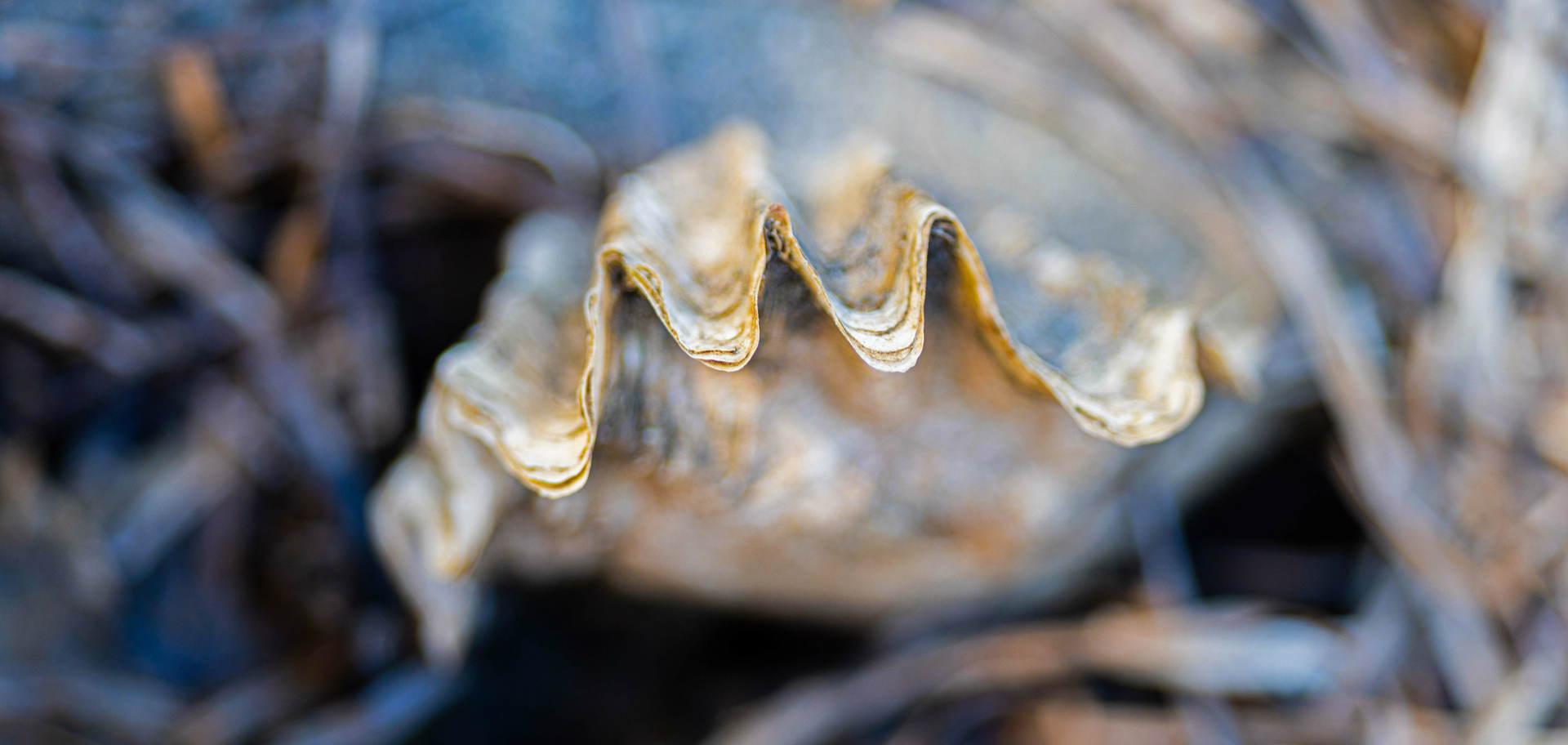 AdobeStock
