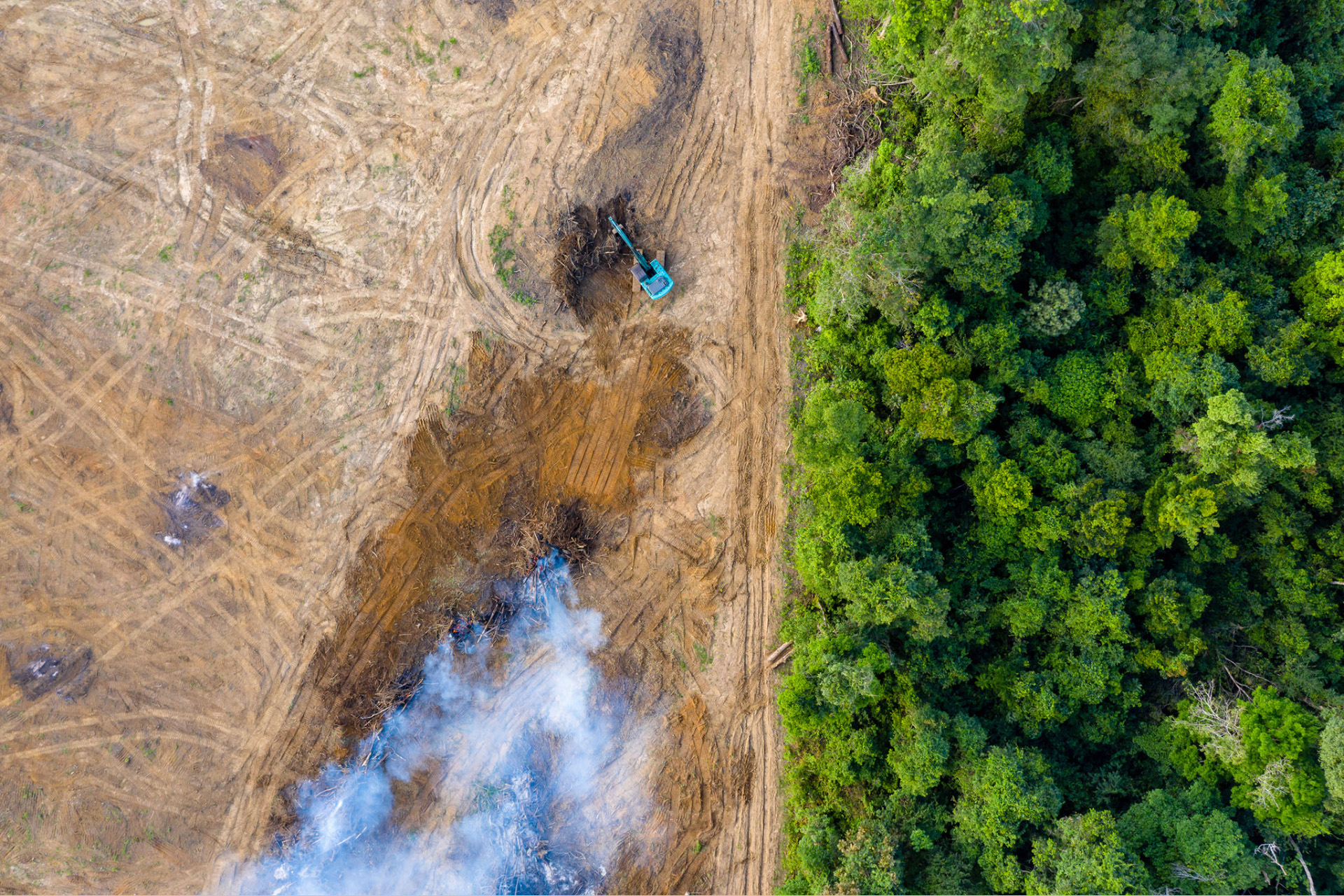 Birds eye view of tropical rainforest deforestation. An earth mover removes trees which are then burnt
