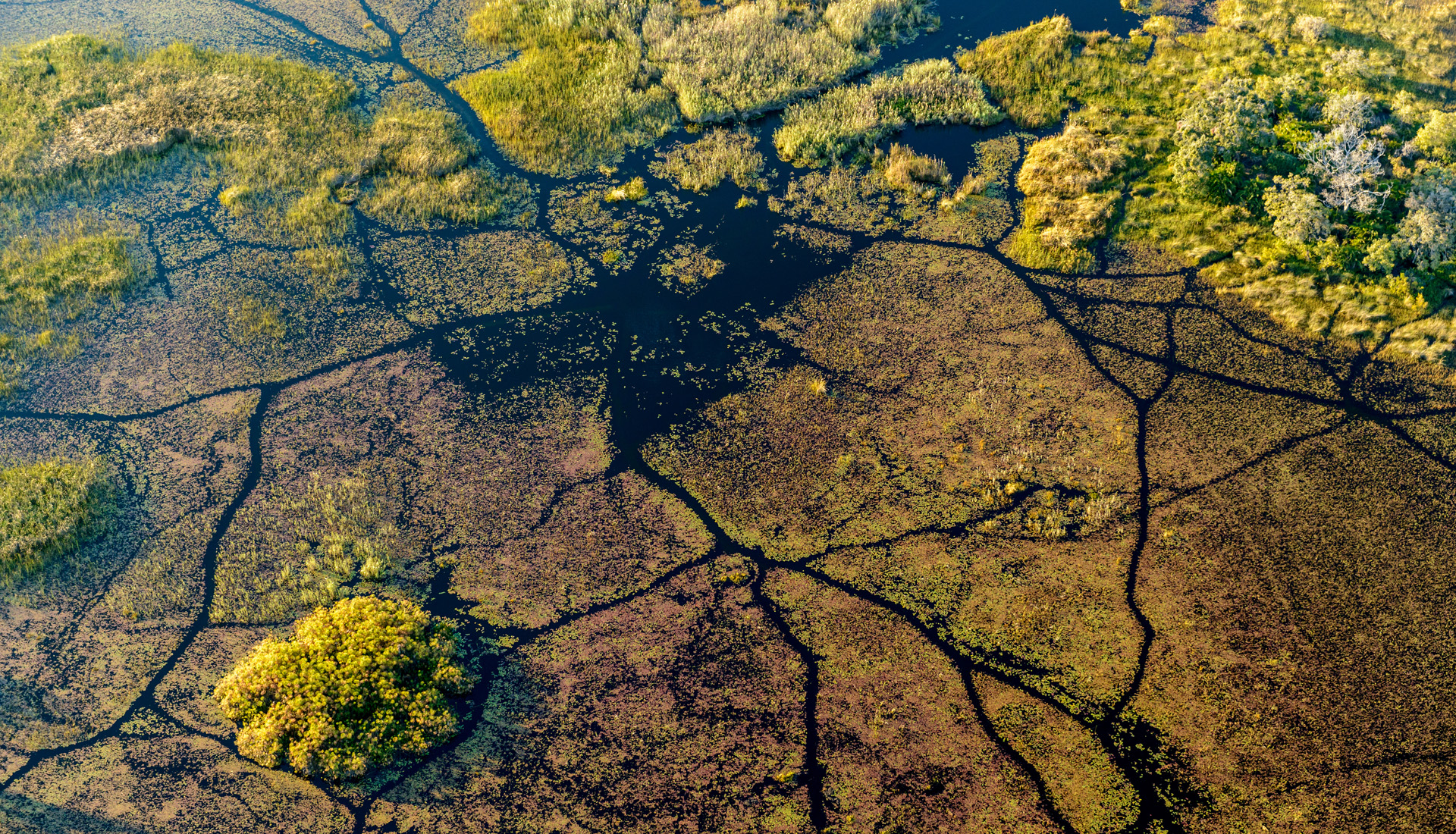 Aerial view of Okavango Delta. Botswana