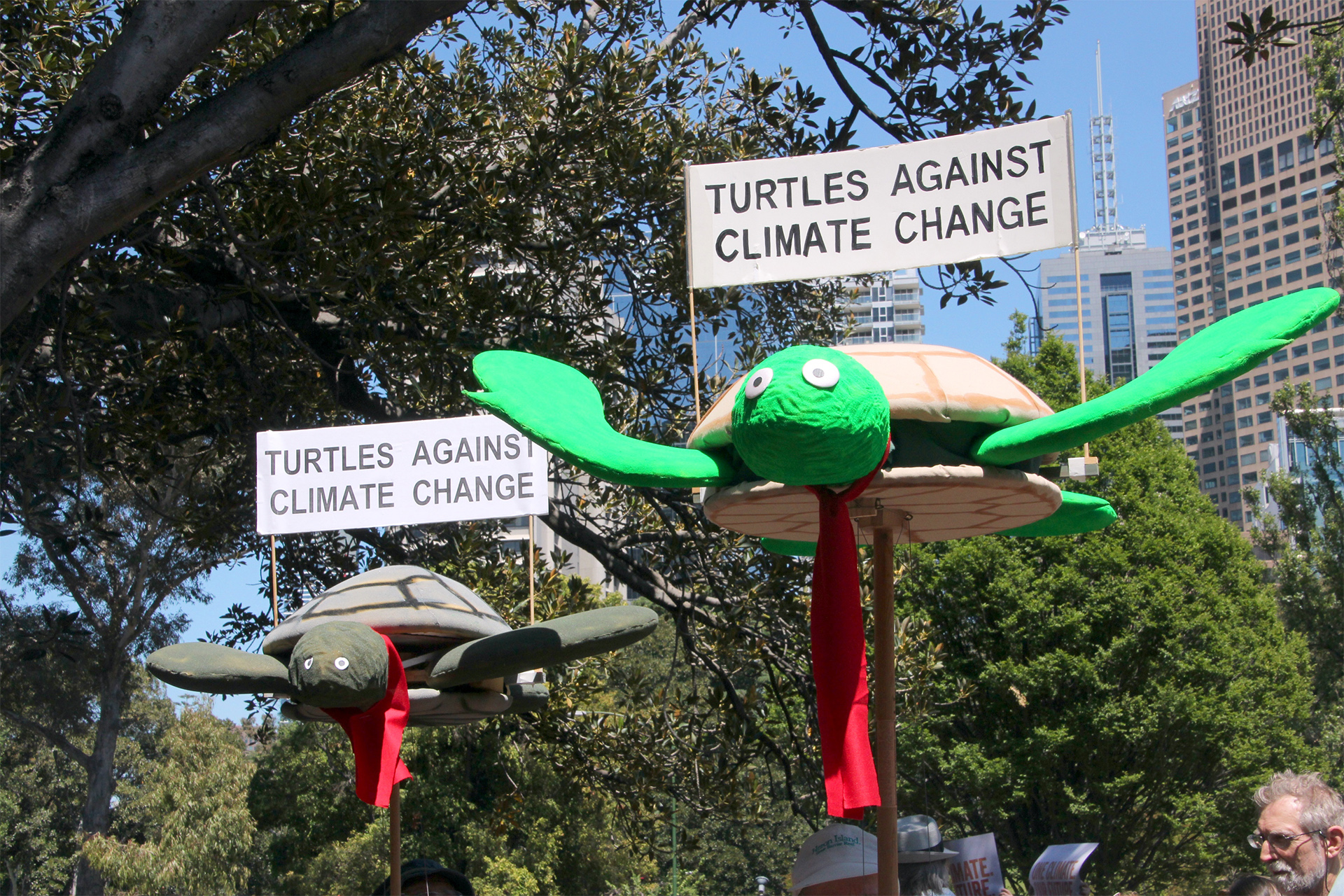 Two turtles against climate change - Melbourne rally for Climate Action